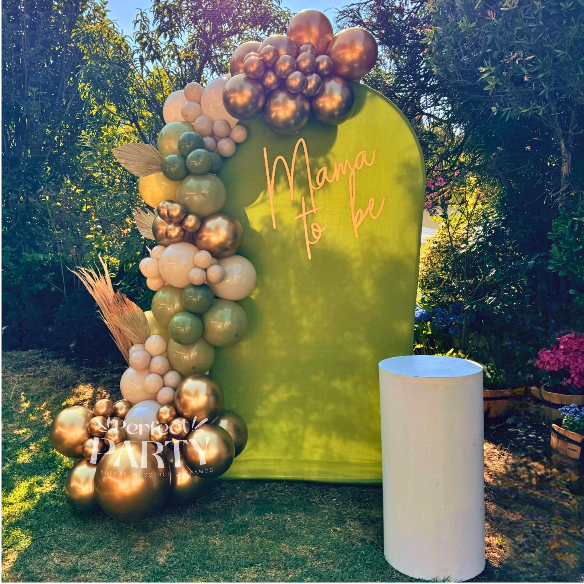 Revelación de género | Mampara de globos - Perfect Party